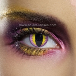 cat eye contact lenses